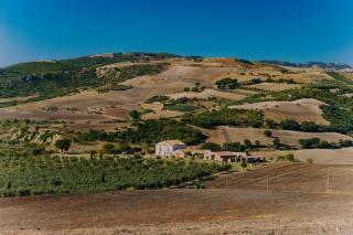 ulivetocasaleterrevallevona-1