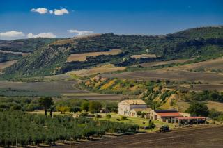 ulivetocasaleterrevallevona-3